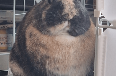 I LOVE IT when he looks grumpy 🥹