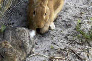 He’s using her little bun bum as a pillow.