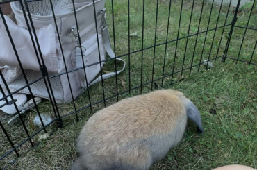 Is this a binky?