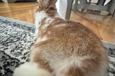 truly the most beautiful angle