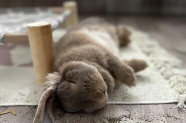 Post-destruction