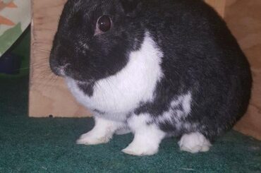 He always looks so polite