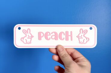 Made my bun a custom name tag to hang on her enclosure!