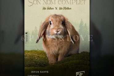 Little explorers deserve posters too 🐇✨