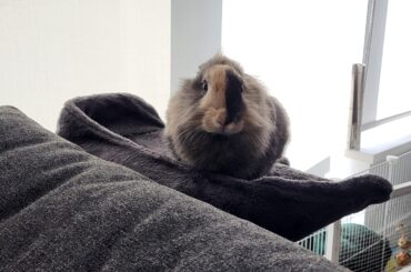 "Mom come back, I wasn't done cuddling..."