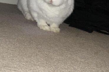 My favorite picture of her