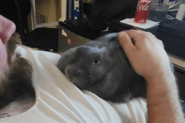 Showing off my own bun