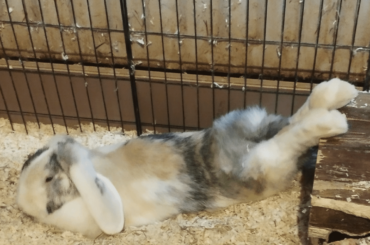 Stretching is important...