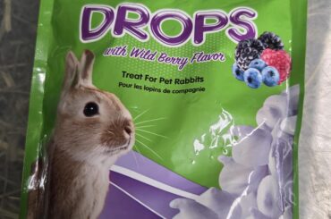 Advice; Can any other animal eat these? If not I'll throw them away. (I'm big on wasting, that's why I ask)
