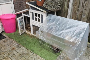 How do i get my bunnies to only relieve themselves in the attached cage and not in their main den. It is alot harder to clean compared to the inside.