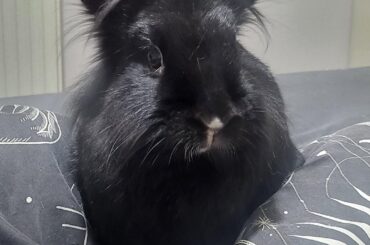 It's not a phase, mum!
