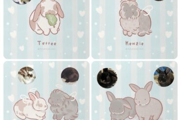 Bunny cute art 🐰💕