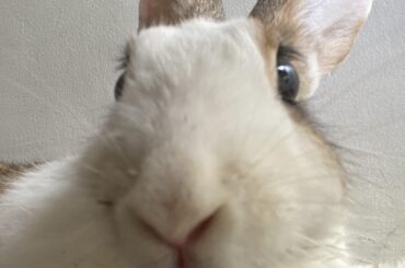 Will I be forgiven once I cut her nails?