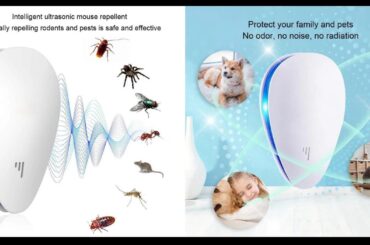 Are pestlab ultrasonic repellents safe to use around bunnies?