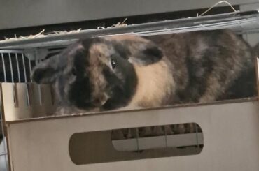 That sure is a quite comfortable... spot..