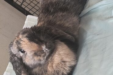 First time laying on the bedd