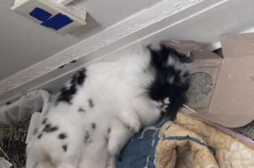 I’m Daisy and I bit my mom’s friend.