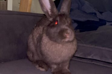 Deathstare