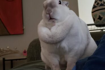 *stares at you intensely*
