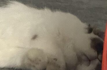 Winnie