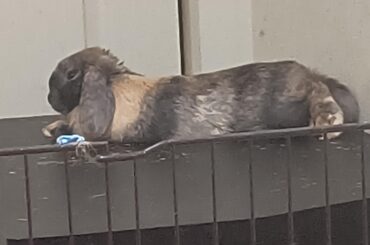 I know I've already posted today, but just look at his face.