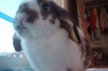 I love taking pictures from a low angle,makes him look very big