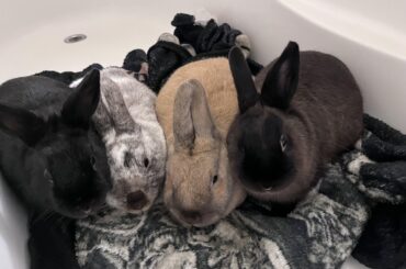 Bonding