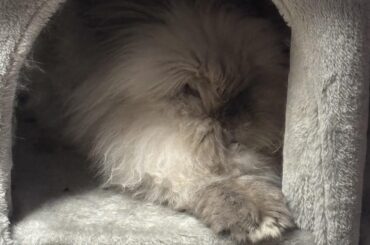 look at ma feets