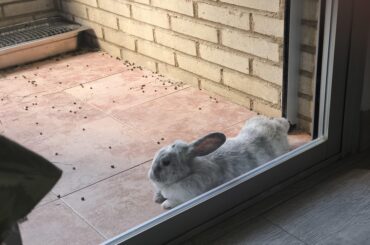She's lop kind...