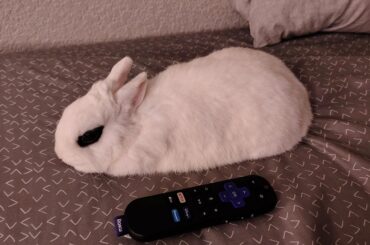 IT IS BECOMING INCREASINGLY OBVIOUS. I CAN DENY IT NO LONGER. I am small.