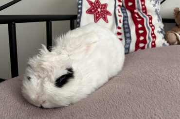 buns socials some asked for!
