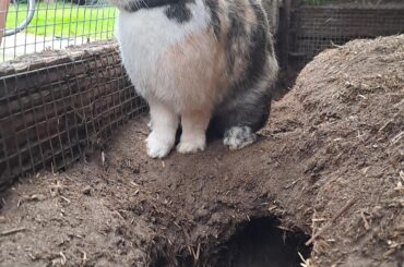 My boy Conrad Showing off his first self dug tunnel