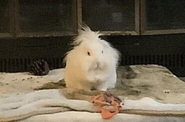 I’m upset you left me with dad all day