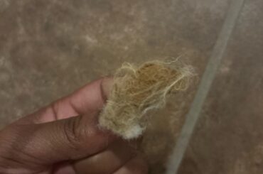 What is this?
