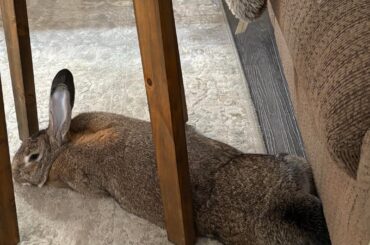 Minimal squish, maximum comfort