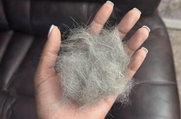 shedding / molting