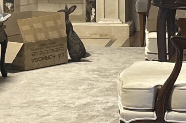 He likes boxes