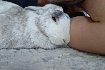 My Dad is the best pillow