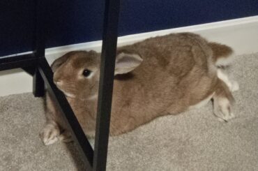 As far as pillow choices go...