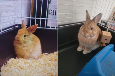 Happy Birthday to my Chester He's grown so much