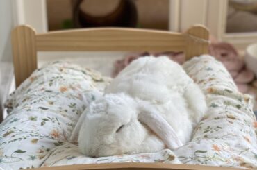 Sleeping beauty