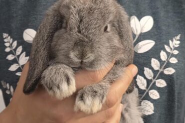 Name suggestions
