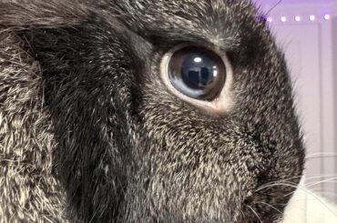 His eye!! ^_^