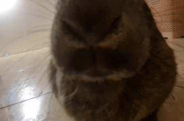You got games on your phone?