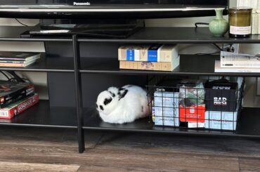 His favorite spot