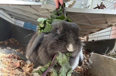Please Love Your Bun A Little Extra Today