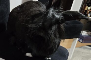 What are you looking at?
