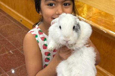 Meet whipped cream - Why did my perfectly potty-trained bunny suddenly start peeing everywhere?