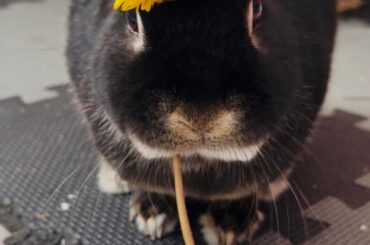 Izzie photo dump