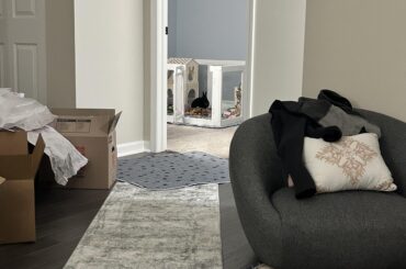 The best part of our new place is that I can still see my sweet Miss Tiggles when I sit on my couch. (Ignore all the boxes 😅)